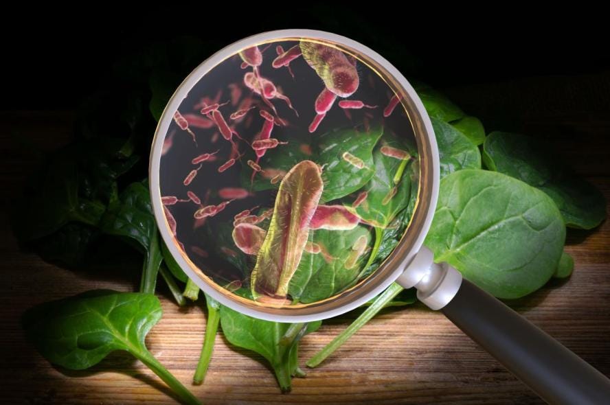 Understanding and Protecting Against Foodborne Illness | School of Medicine Understanding and Protecting Against Foodborne Illness | School of Medicine