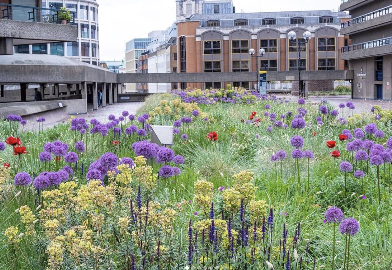 Barbican (Nigel Dunnett)