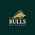 Bulls On Parade's avatar