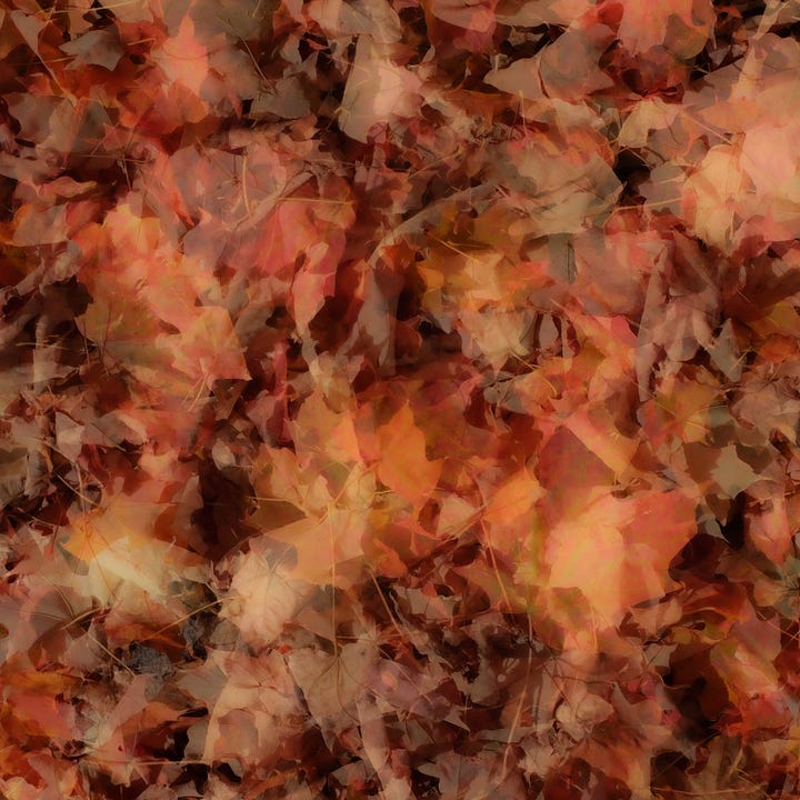 Diptych: Shimmering oranges - trees reflected in water; Right: Orange and yellow maple leaves in a pile.