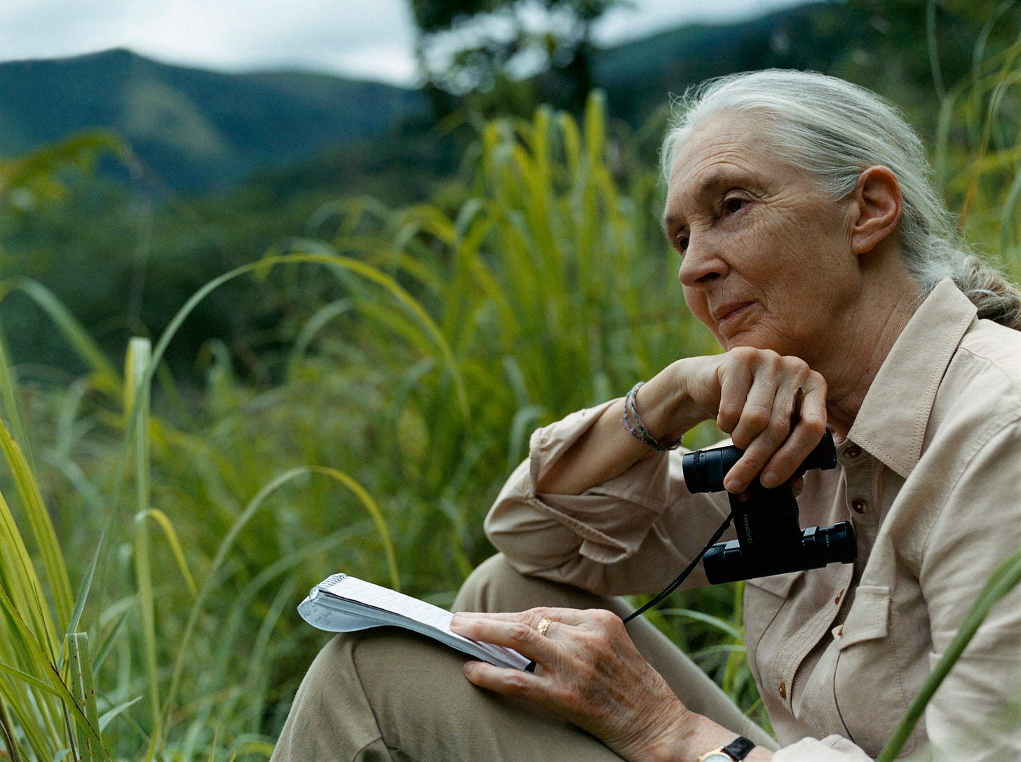 Foto von Jane Goodall in Gombe Foto von Jane Goodall in Gombe