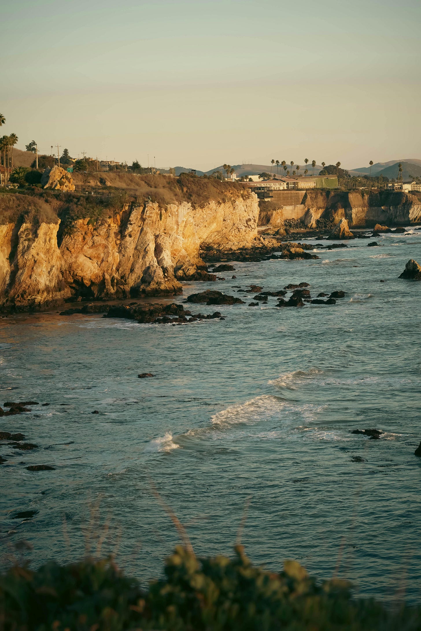 sandy cliffs with shrubs & palm trees drop sharply into the pacific ocean, rocky & greyblue. pismo beach coastline. sandy cliffs with shrubs & palm trees drop sharply into the pacific ocean, rocky & greyblue. pismo beach coastline.