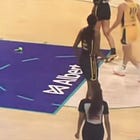 Hey Woman, Can't You Take A (Trumpy Crypto-Bros Throwing Dildos At WNBA Players) Prank?
