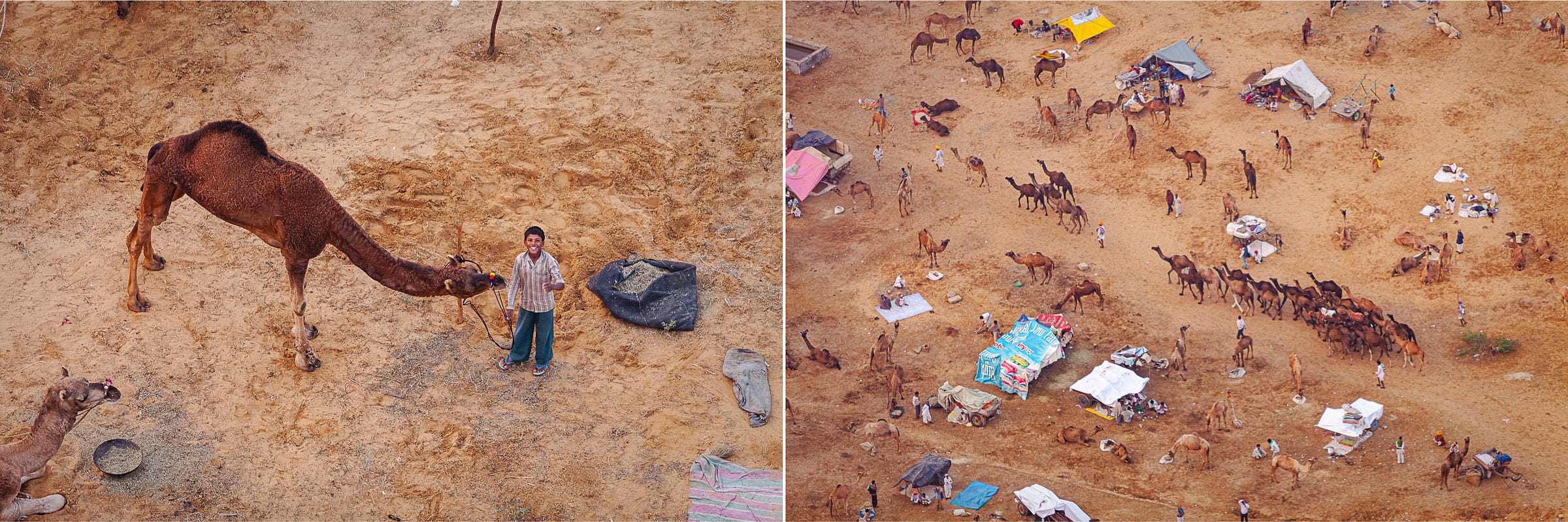 View from a hot-air balloon, Pushkar, India. Both: 1/200, ƒ/2.8, ISO 800, 200mm. © Gavin Gough View from a hot-air balloon, Pushkar, India. Both: 1/200, ƒ/2.8, ISO 800, 200mm. © Gavin Gough