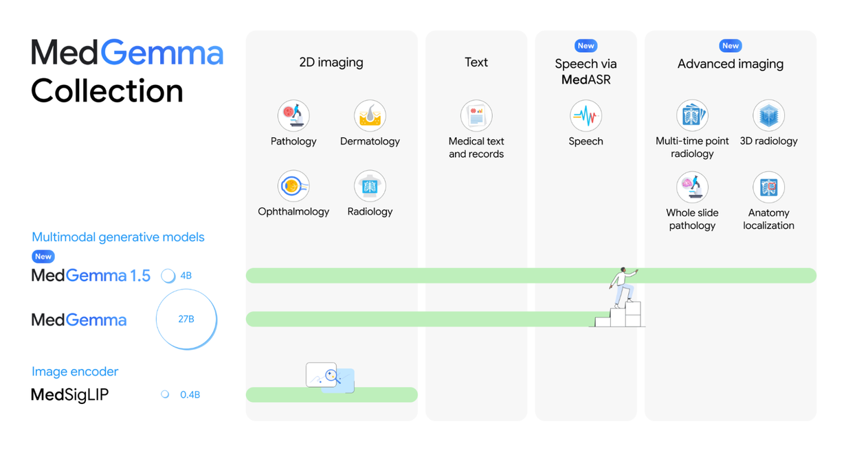 MedGemma Collection infographic showing multimodal AI models for 2D imaging, text, speech, and advanced radiology. MedGemma Collection infographic showing multimodal AI models for 2D imaging, text, speech, and advanced radiology.