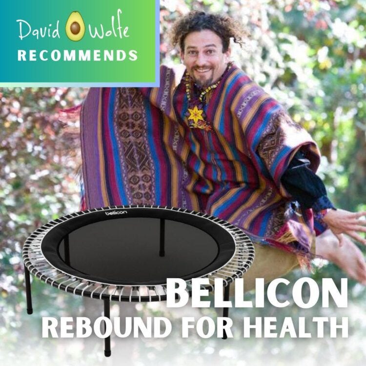 David Avocado Wolfe rebounding with Bellicon