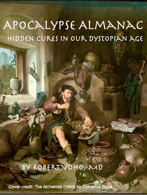 345. THE APOCALYPSE ALMANAC: A GUIDE TO PROTECTING YOUR HEALTH, ALONG ...