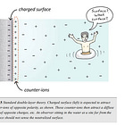 Water World Part 1: Reviewing Gerald Pollak's theory of structured water.