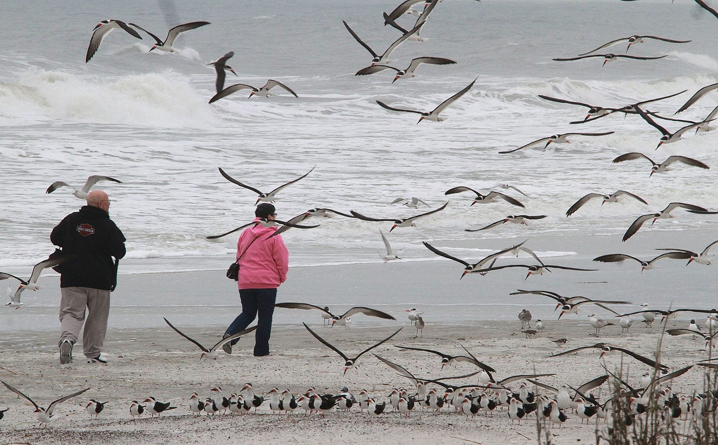Rainy, chilly February tops winter averages for Daytona Beach area Rainy, chilly February tops winter averages for Daytona Beach area