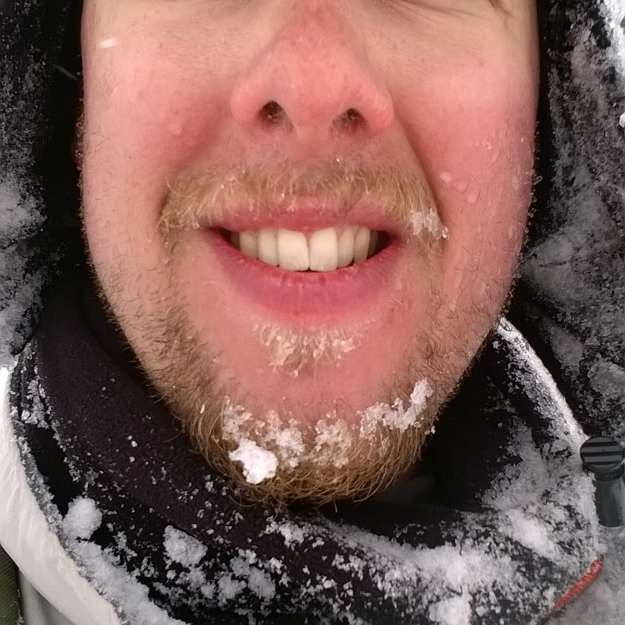 Jonathan’s Red Book & Substack