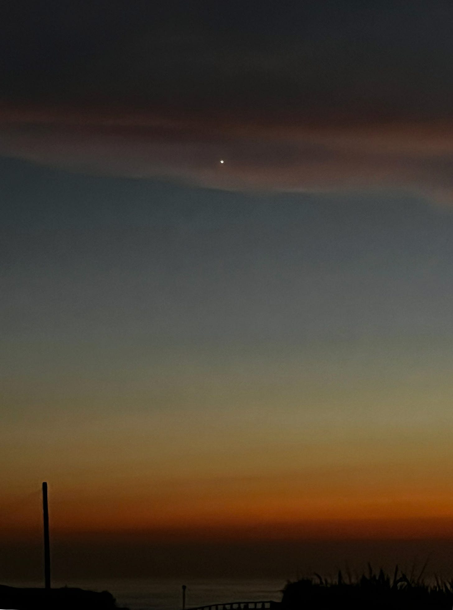 Venus in the evening sky.