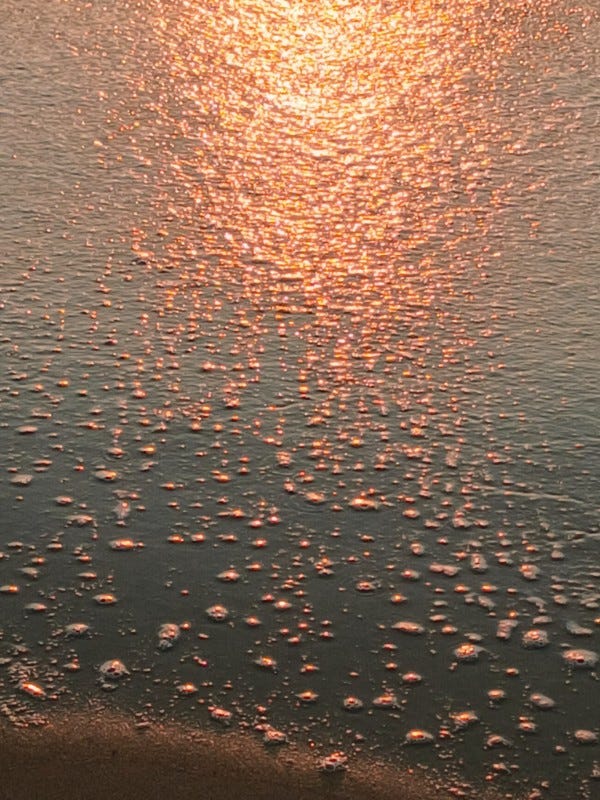 Photo en gros plan du rivage de l'océan au coucher de soleil, juste après qu'une vague se soit retirée: on voit le sable humide recouvert de petites bulles d'écume et des reflets orangés du soleil couchant