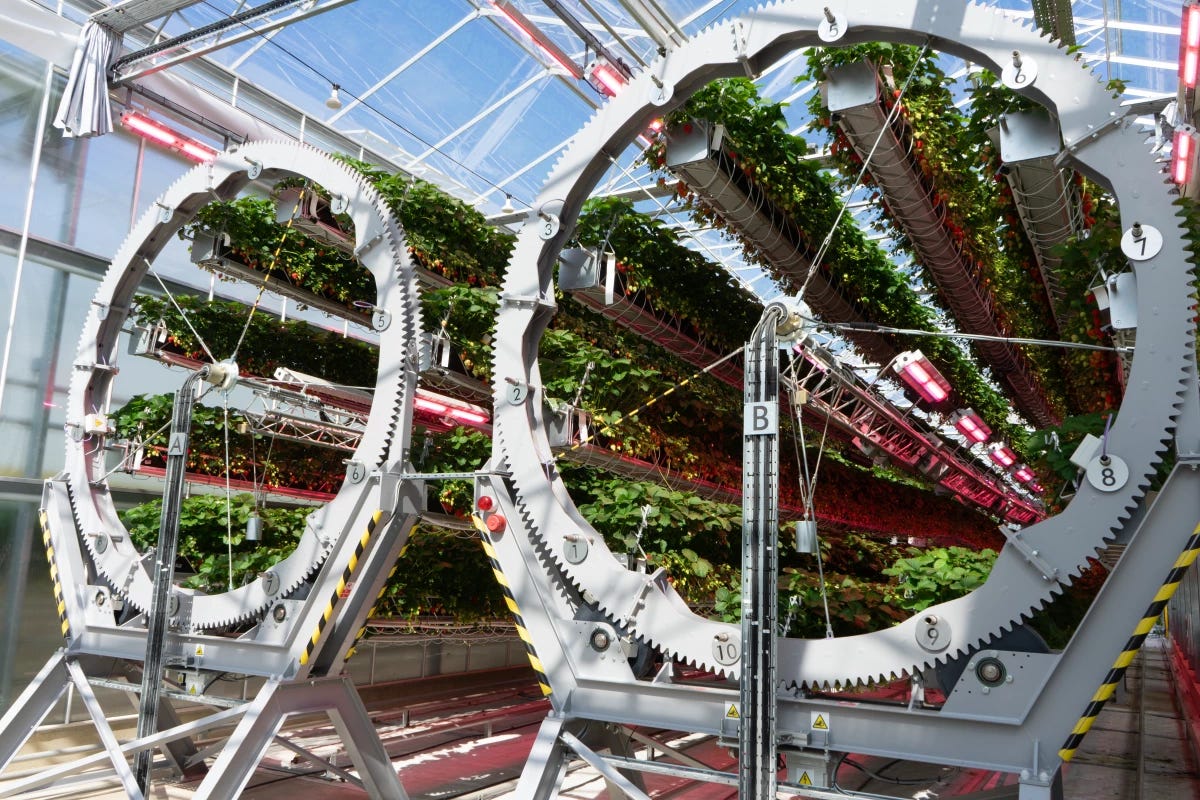 Is this the look of the farms of the future?