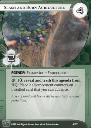 Slash and Burn Agriculture