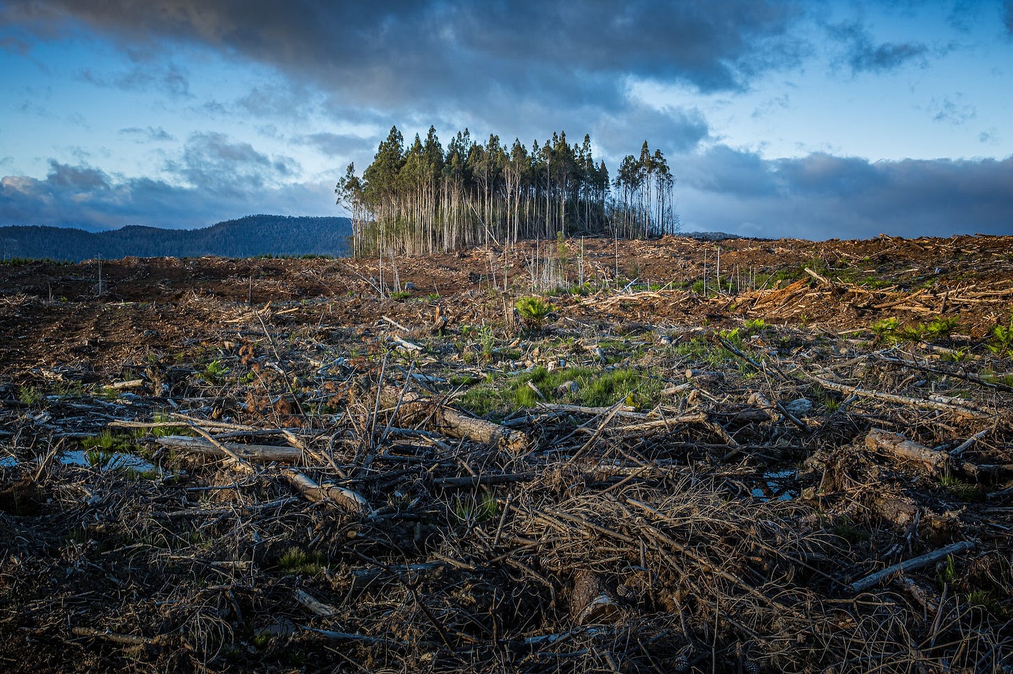Forestry activities in Tasmania, Australia. Forestry activities in Tasmania, Australia.