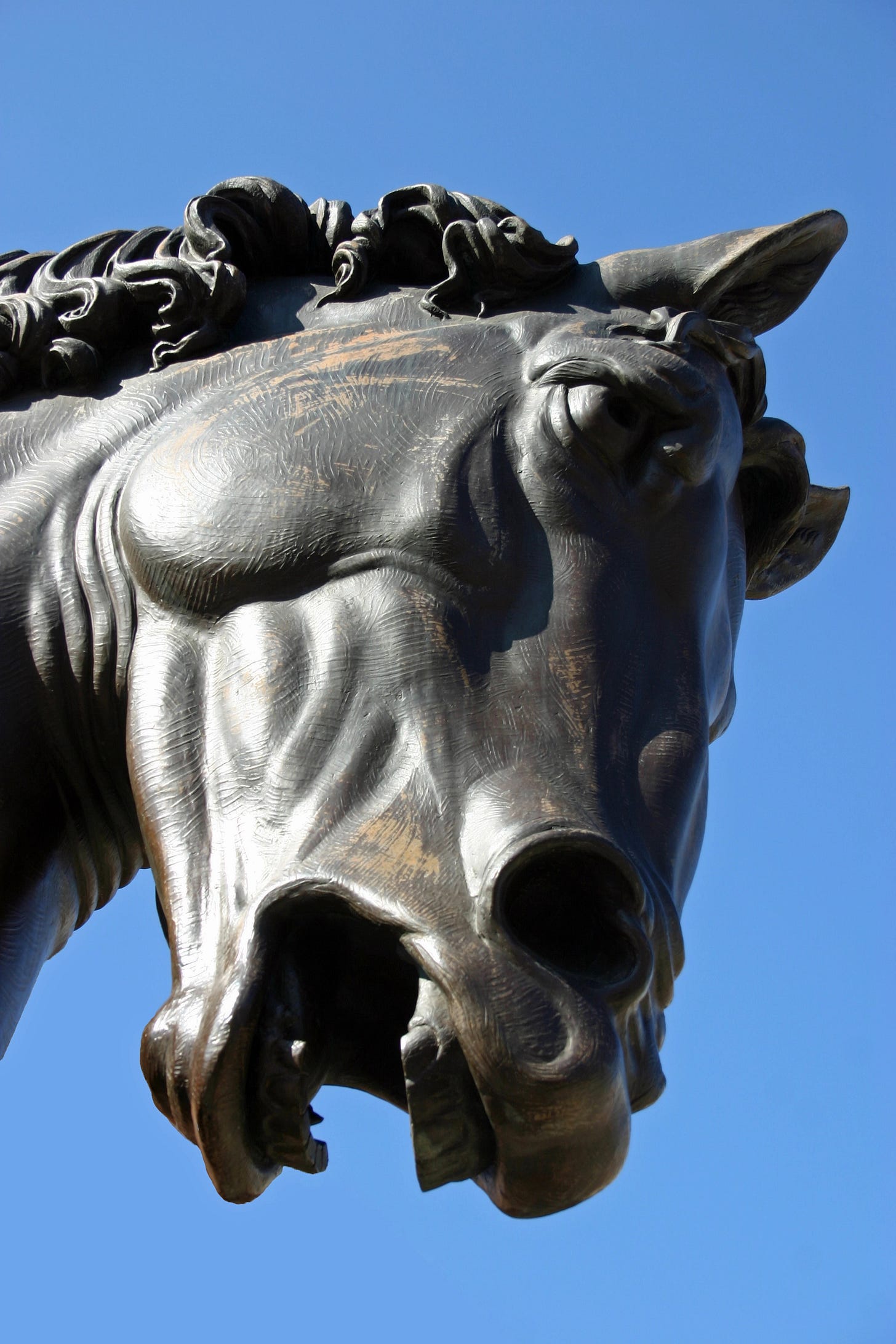 Close up of the face of a horse statue