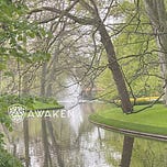 AWAKEN with Michelle 