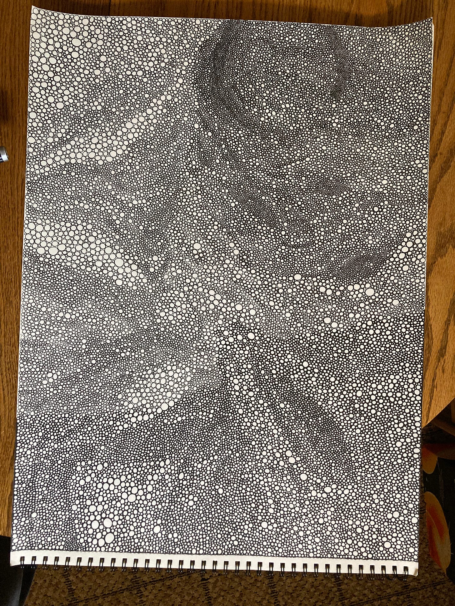 millions of tiny circles in black ink.
