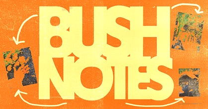 Bush Notes
