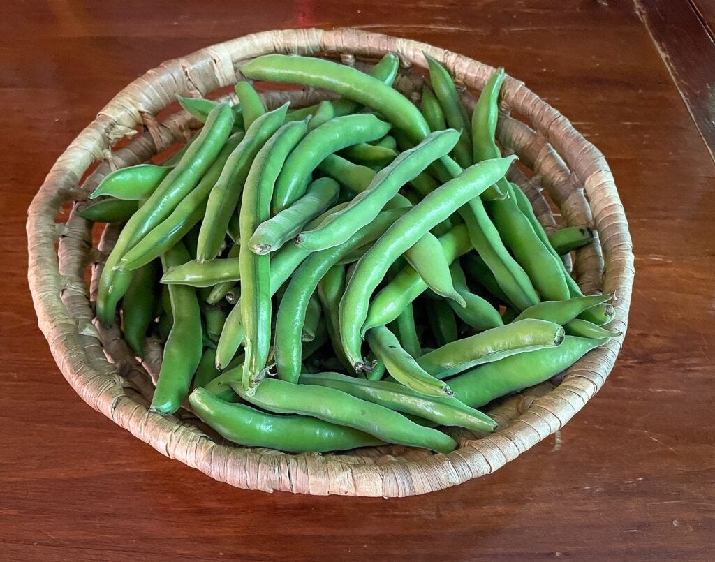 food picture