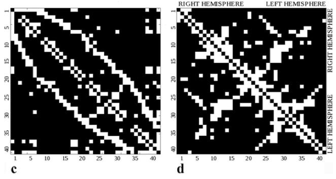 http://www.plosone.org/article/slideshow.action?uri=info:doi/10.1371/journal.pone.0031029&imageURI=info:doi/10.1371/journal.pone.0031029.g002