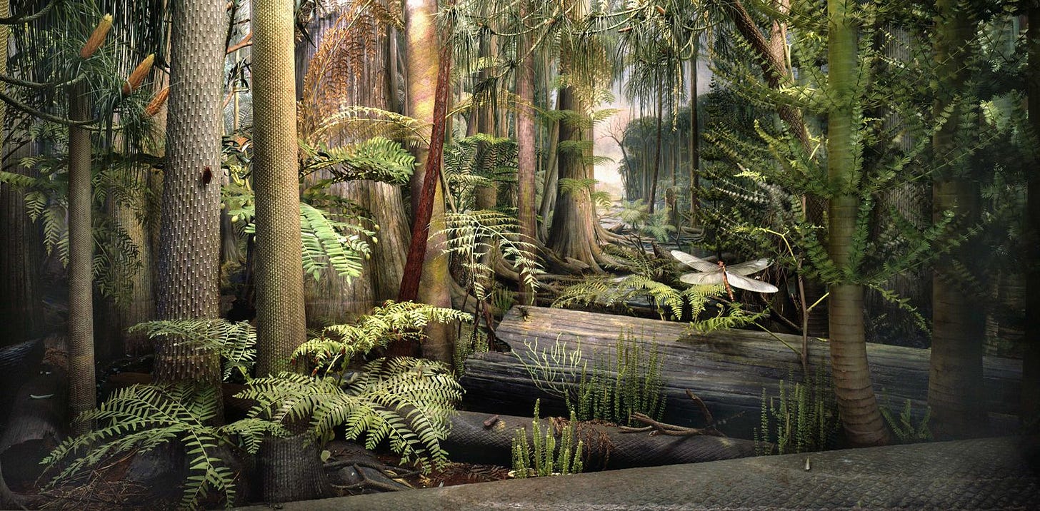reconstruction-of-a-pennsylvanian-coal-swamp -the-field-museum-john-weinstein-carboniferous-forest-diorama – Plant  Doctor Christopher Satch
