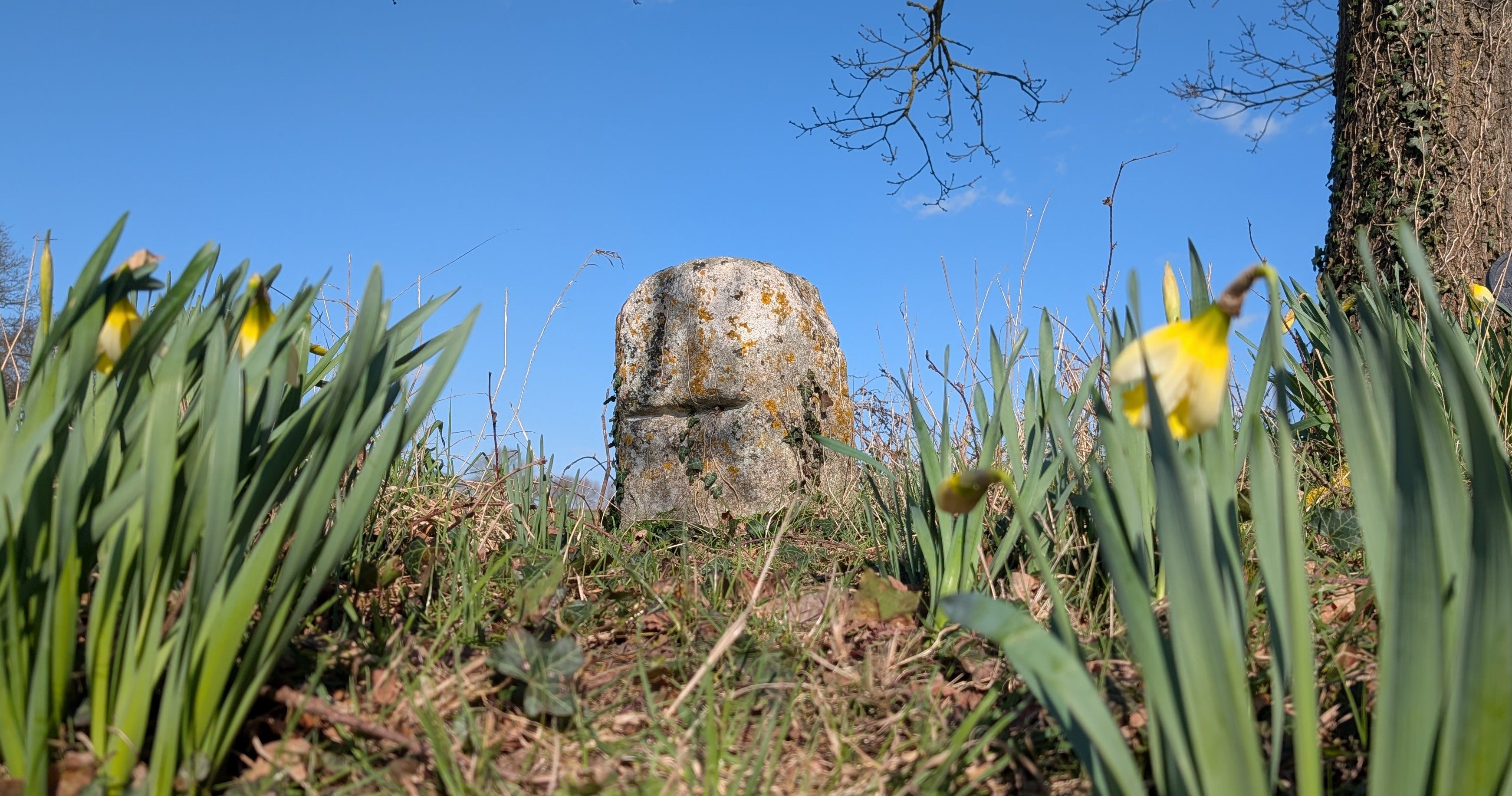 Norfolk Folklore Society Newsletter - March 2026