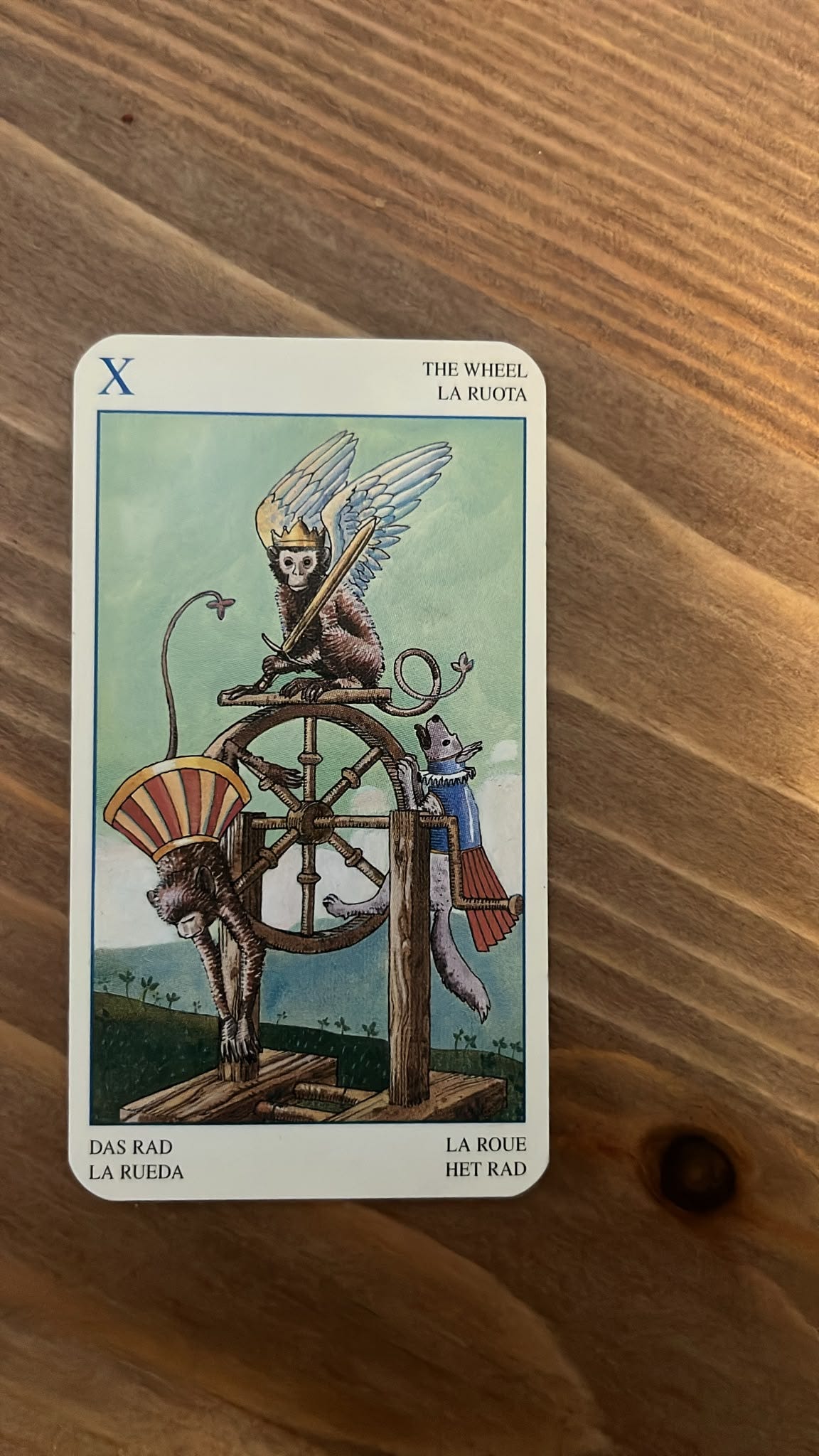 The Wheel tarot card lies on a wooden table, showing three strange crowned and winged creatures turning around a wooden wheel. The Wheel tarot card lies on a wooden table, showing three strange crowned and winged creatures turning around a wooden wheel.