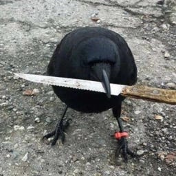 crow with knife (CAW)