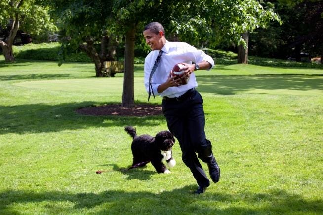 Bo & Sunny | Barack Obama Presidential Library