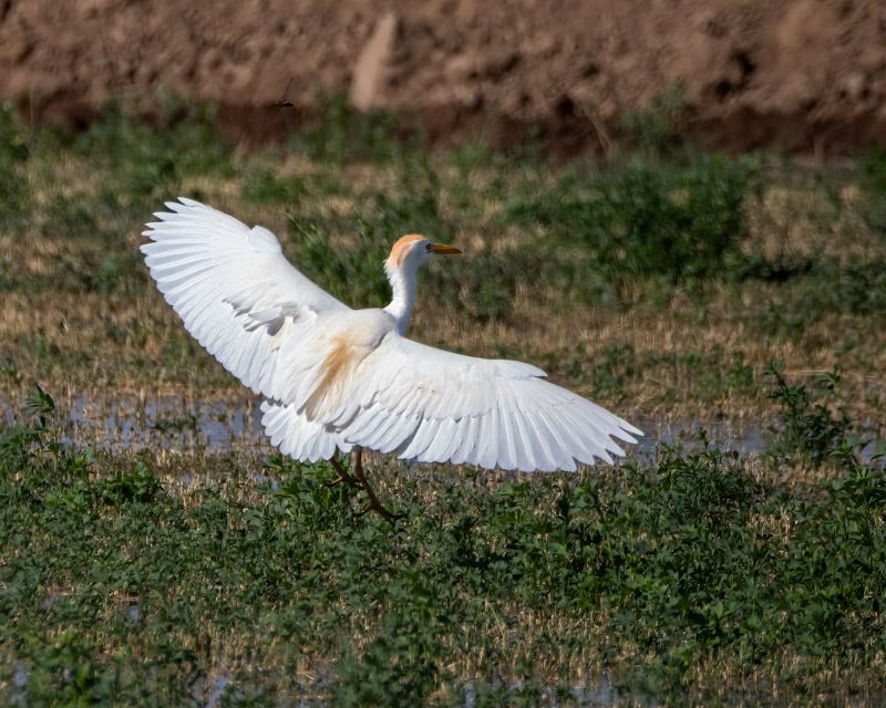 20250708-Stanfield-284-Edit.jpg 20250708-Stanfield-284-Edit.jpg