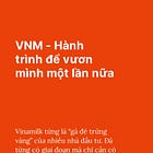 VNM - Hành trình để vươn mình lần nữa