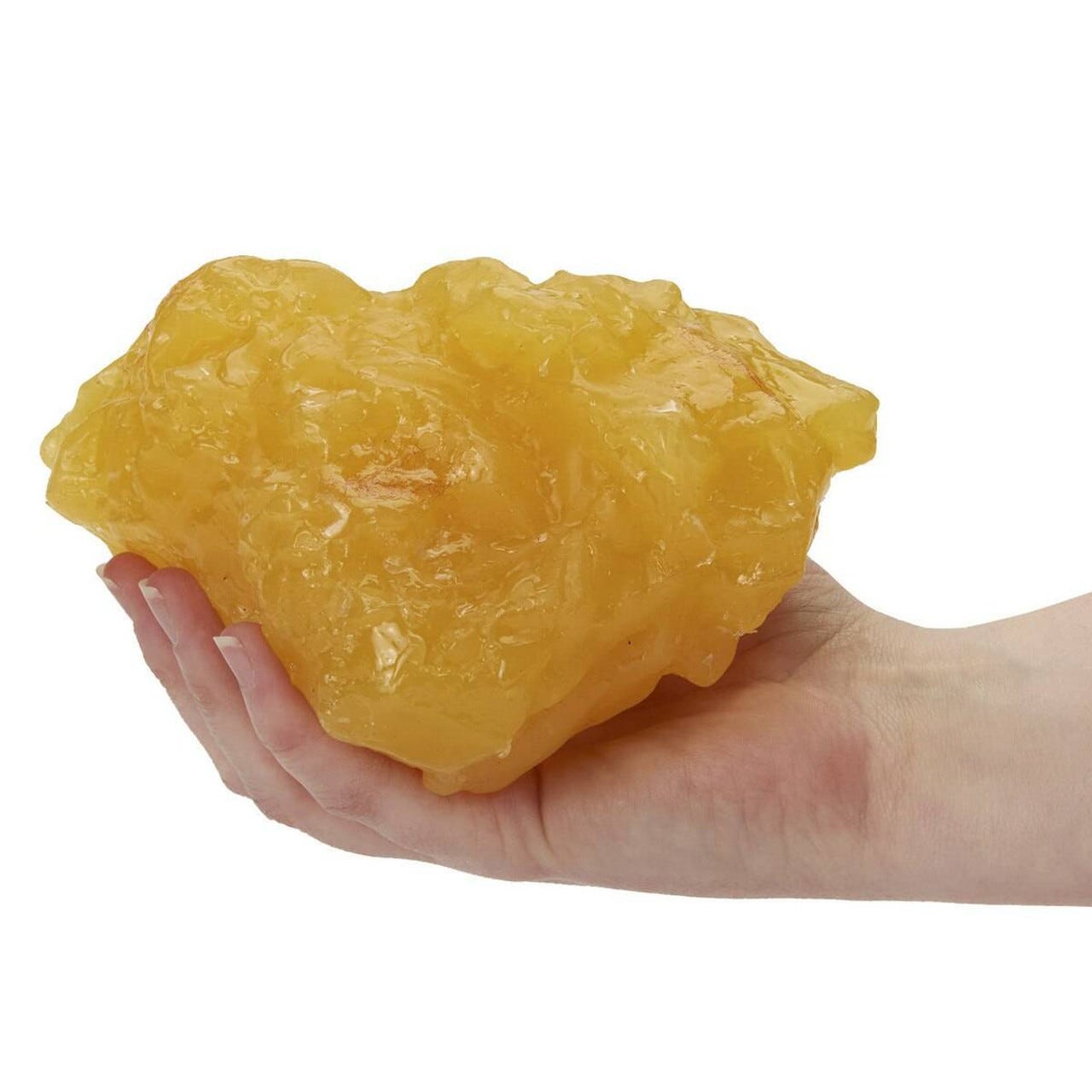 Nasco Body Fat Replica - 1-lb.