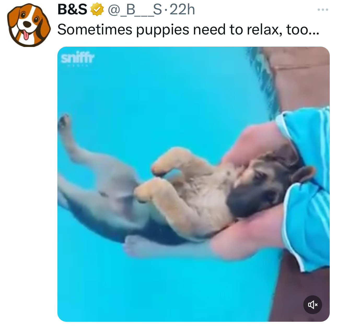 Image.heic Image.heic