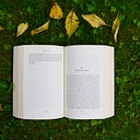Logo for Fiction