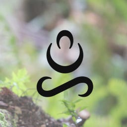 The Life Reclamation Project