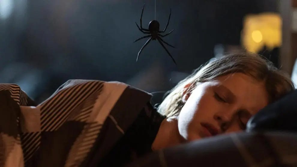 Crítica de 'Sting. Araña asesina': si tienes hijos con curiosidad por el  género, es para