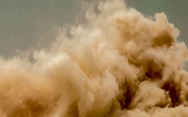 istockphoto-1342412685-612x612