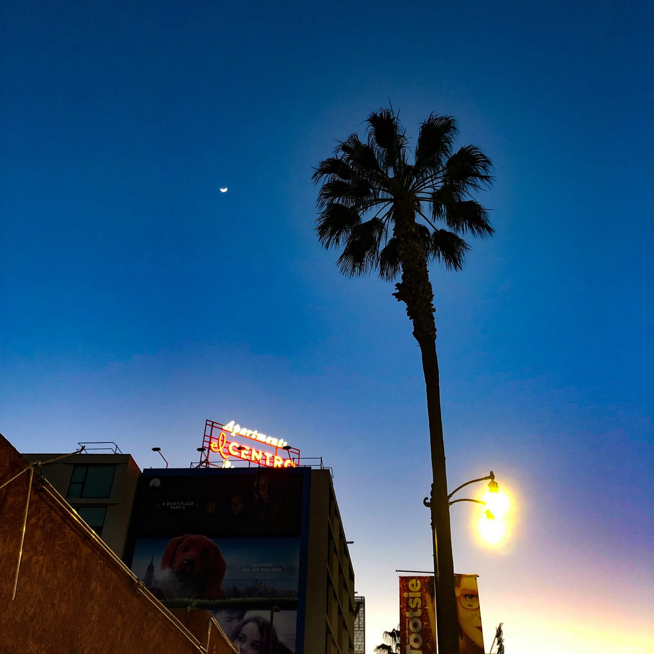 The Drugs Don't Work Anymore