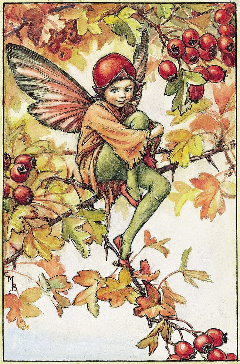 Cicely Mary Barker's Hawthorn Fairy (1923)