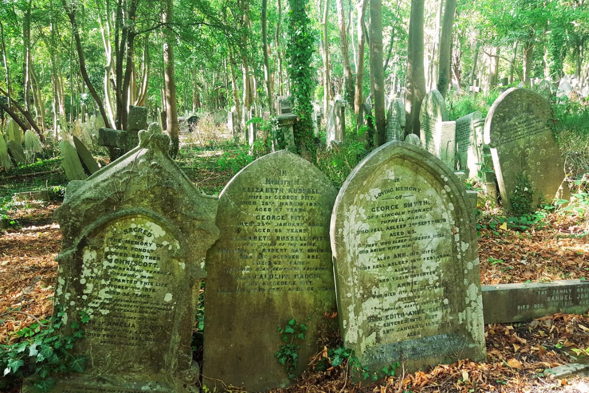 A green-tinted film photograph taken at Highgate Cemetery in London shows three crowded gravestones, with many others in the background, all nestled within a forest area.