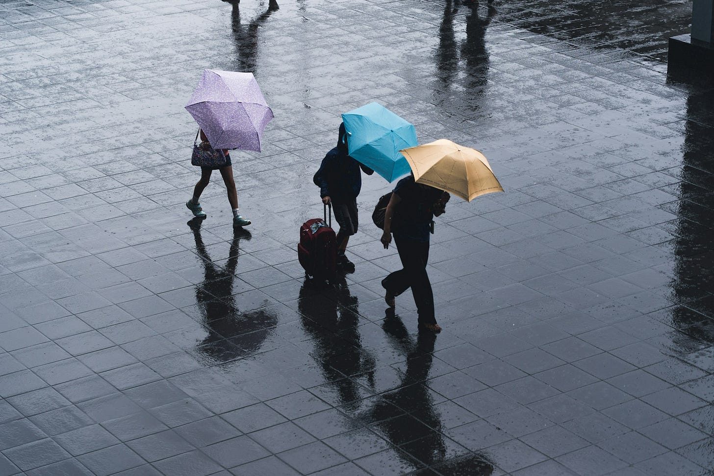 Three people walking underneath umbrellas. Photo by Ryoji Iwata on Unsplash