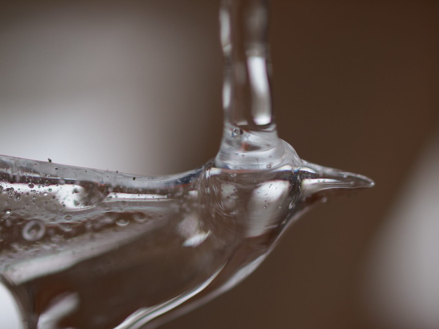 Icicle that looks like a bird