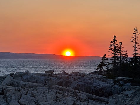 Photos of the campground, ocean, hiking, and dogs