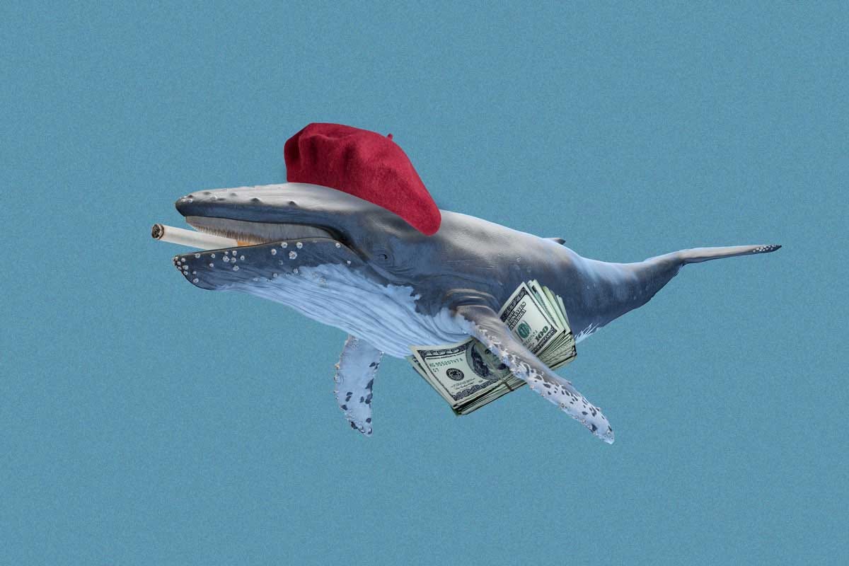 How a French Whale Made $85 Million off Trump's Win How a French Whale Made $85 Million off Trump's Win