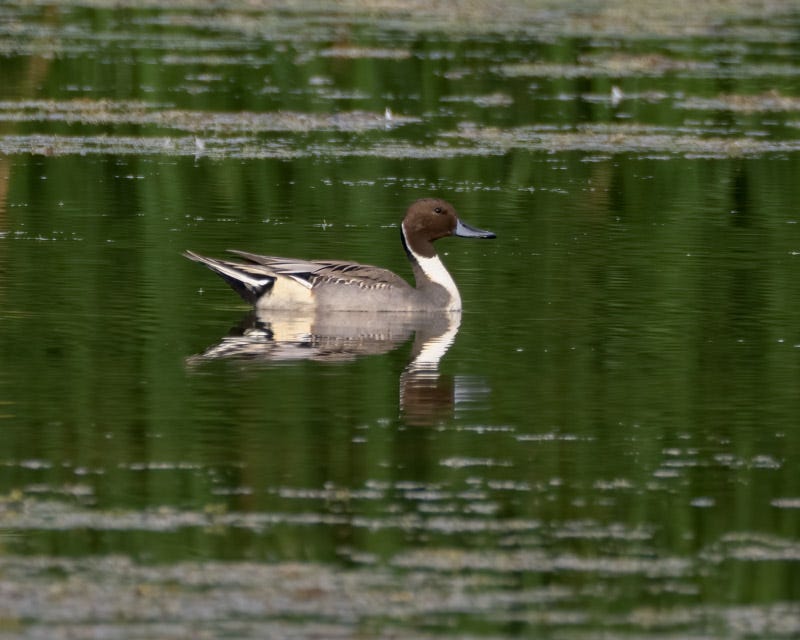 20251010-ElRio-303-Edit 2.jpg