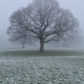 Cherishing Winters Finest Moments