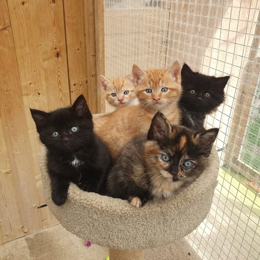 No photo description available.