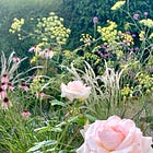 How to make a resilient gravel garden, easily