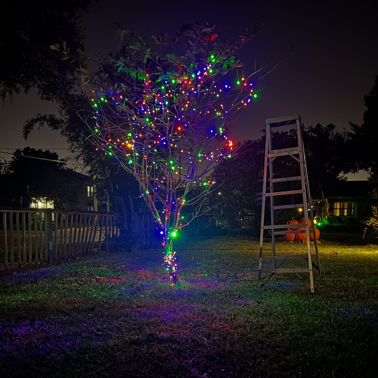 small tree with Christmas lights next to a ladder on a suburban lawn at night